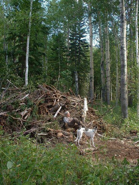 biberburg_eigenbau_gross