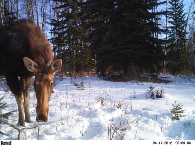 M2E78L231-230R370B333