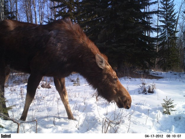 M2E78L231-230R370B333