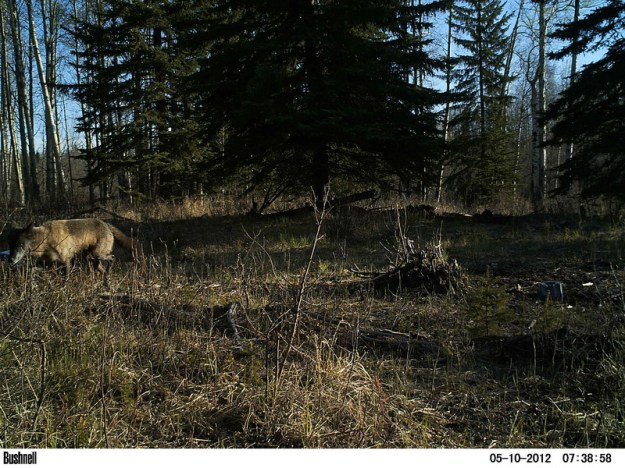 M2E80L234-234R368B322