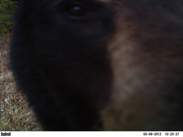 M2E72L215-200R365B327