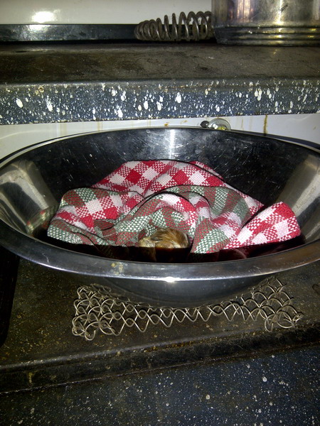 Big Lakes-20120730-00223