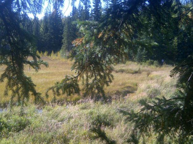 big lakes 20120916 00304