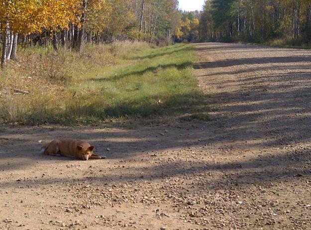 big lakes 20120923 00313