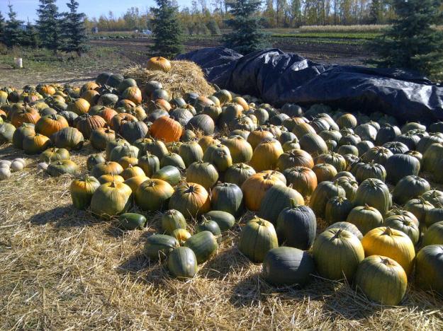 greenview no 16 20120927 00320