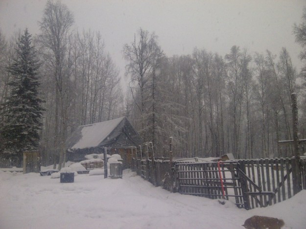 Greenview No. 16-20130116-00499