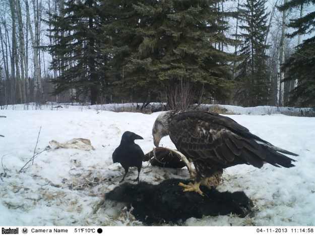 M2E90L237-237R379B320