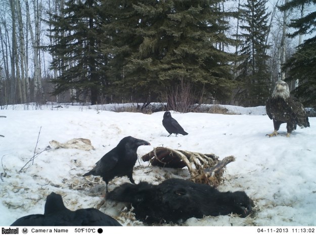 M2E90L237-237R379B320