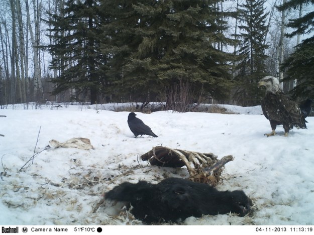 M2E90L237-237R379B320