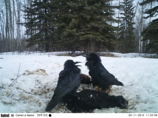 M2E89L236-236R380B320