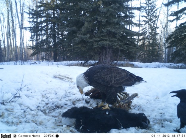 M2E62L198-198R385B314