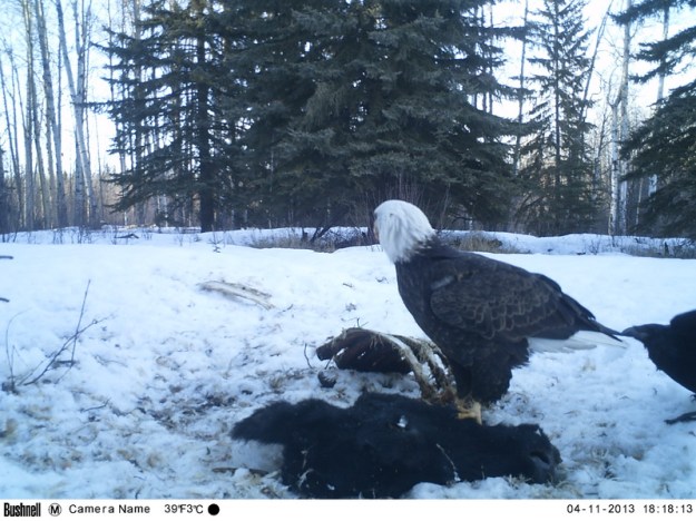 M2E62L198-198R385B314