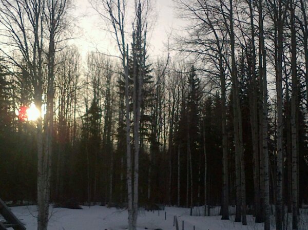 wp-1365774036027.jpg image