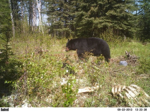 M2E77L226-224R378B324