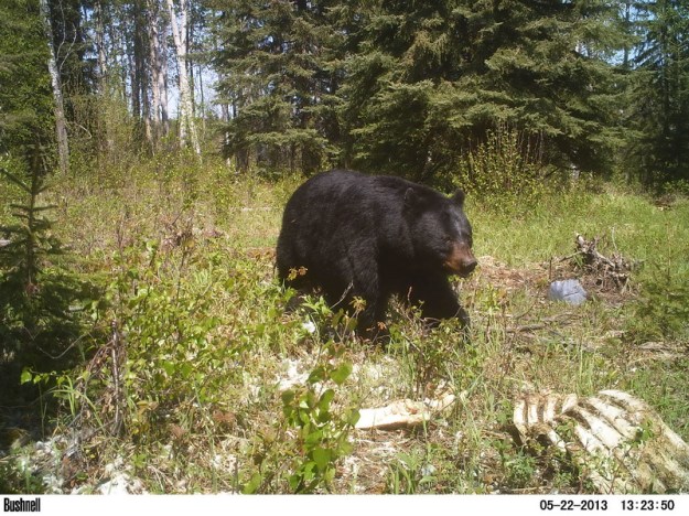 M2E77L226-224R378B324