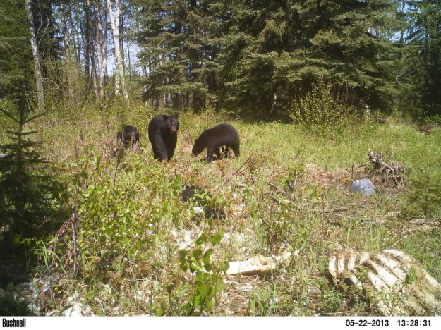 M2E77L225-224R378B324