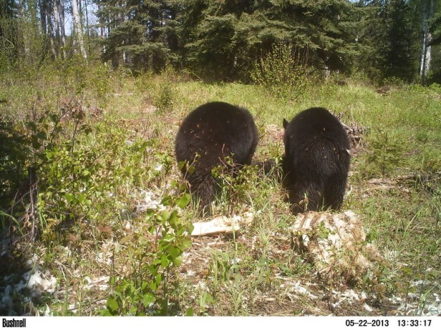 M2E77L225-224R378B324