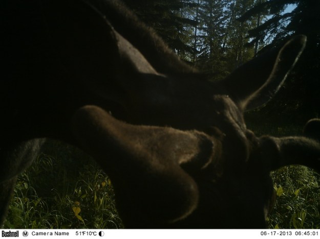 M2E91L238-239R379B320