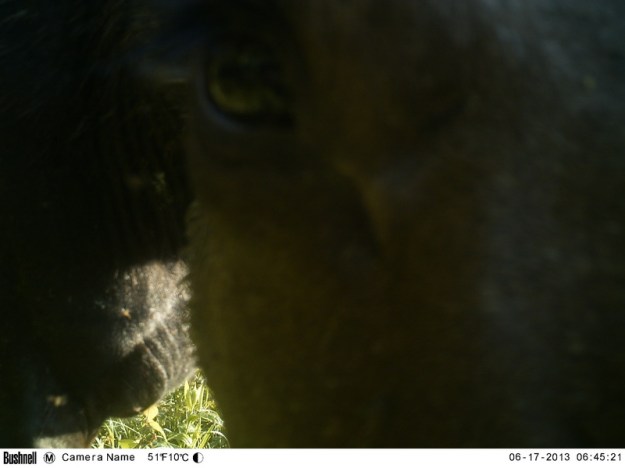 M2E55L177-180R387B317