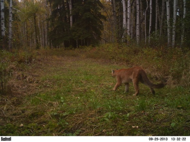 M2E40L142-141R399B310