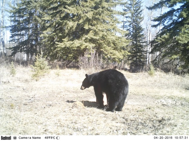 M2E71L209-209R385B325