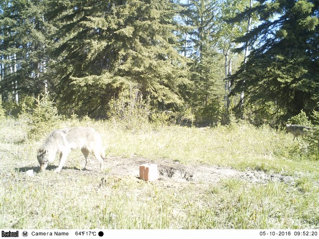 M2E69L207-207R385B323