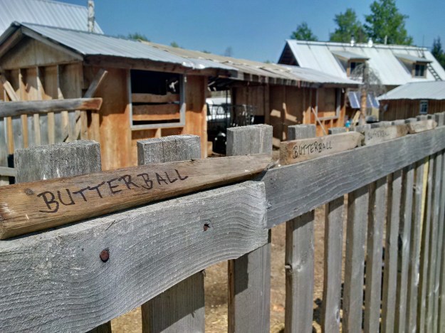 IMG_20160515_144745_hdr