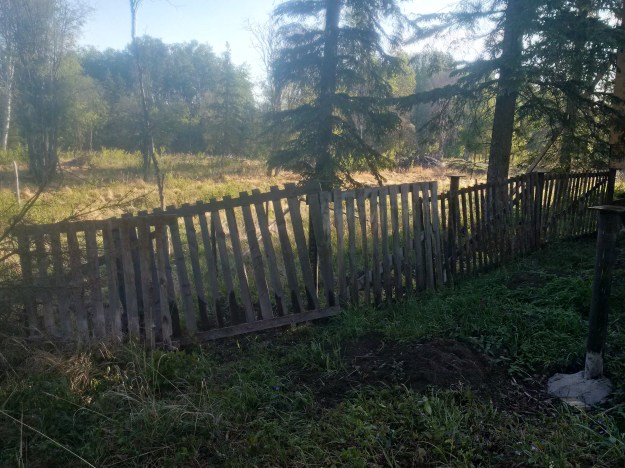 IMG_20160525_073540_hdr