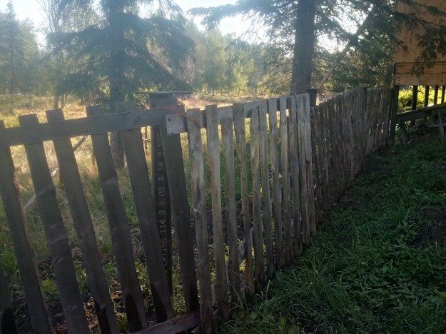 IMG_20160525_074308_hdr