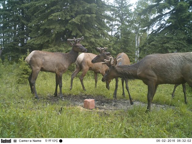 M2E51L160-160R390B314