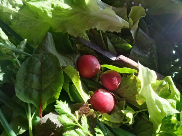 IMG_20160612_194713_hdr