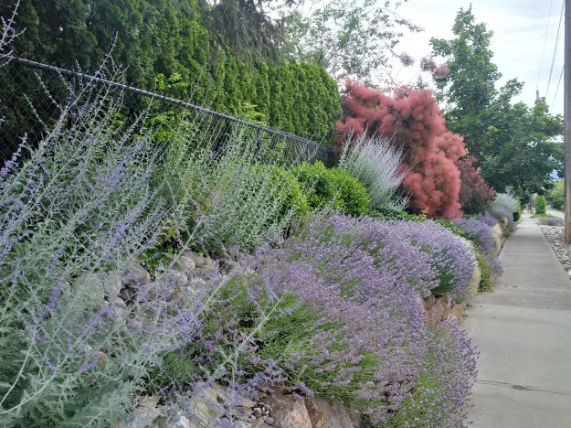 IMG_20160623_121704_hdr