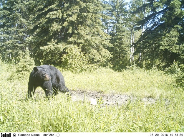 M2E68L206-206R385B322