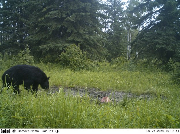 M2E54L173-173R388B318