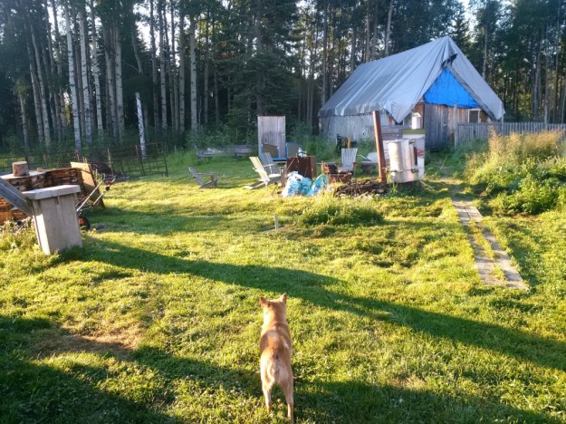 thumb_IMG_20160715_071210_1024