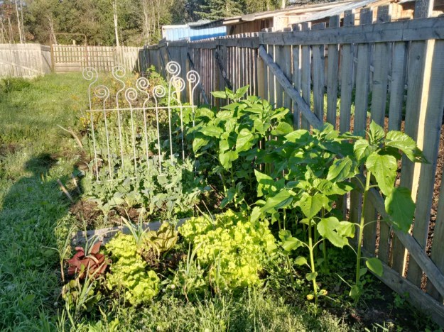 thumb_IMG_20160715_073627_hdr_1024