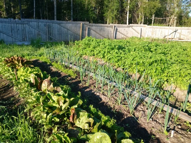 thumb_IMG_20160715_073739_1024