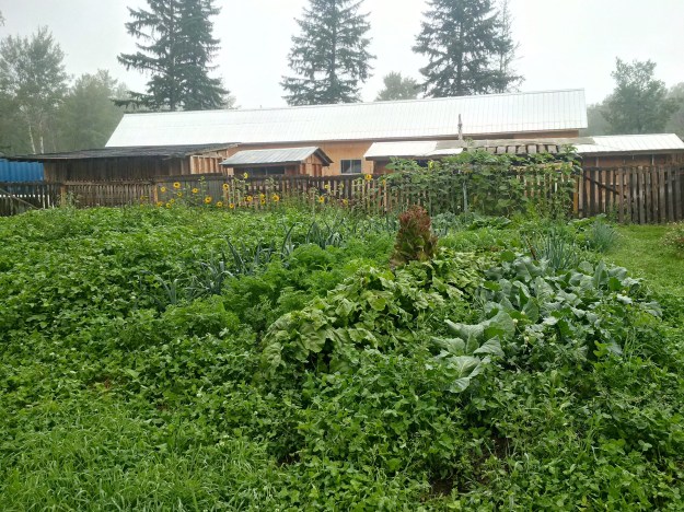 IMG_20160808_072036_hdr