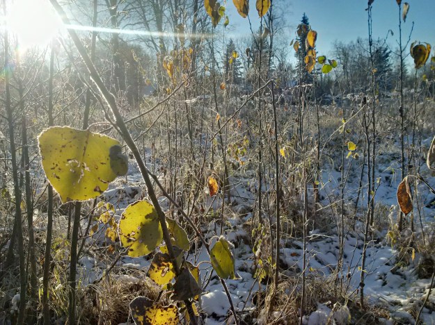 img_20161011_093902_hdr