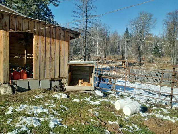 img_20161011_122152_hdr