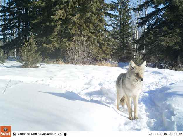 M2E84L236-236R380B320