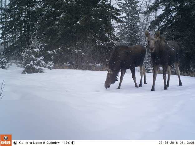 M2E73L221-221R408B329