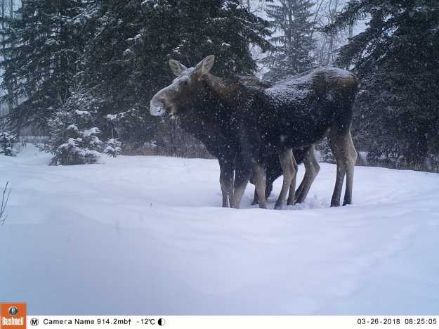 M2E71L216-216R408B332