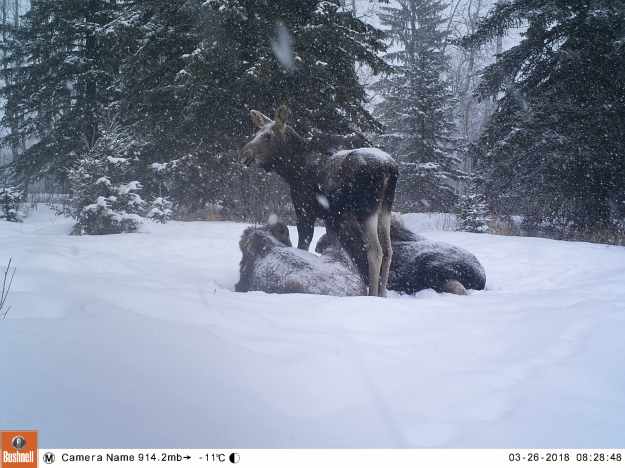 M2E72L220-220R408B330