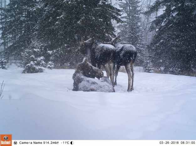 M2E72L220-220R408B330