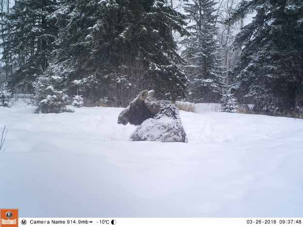 M2E81L233-233R404B325