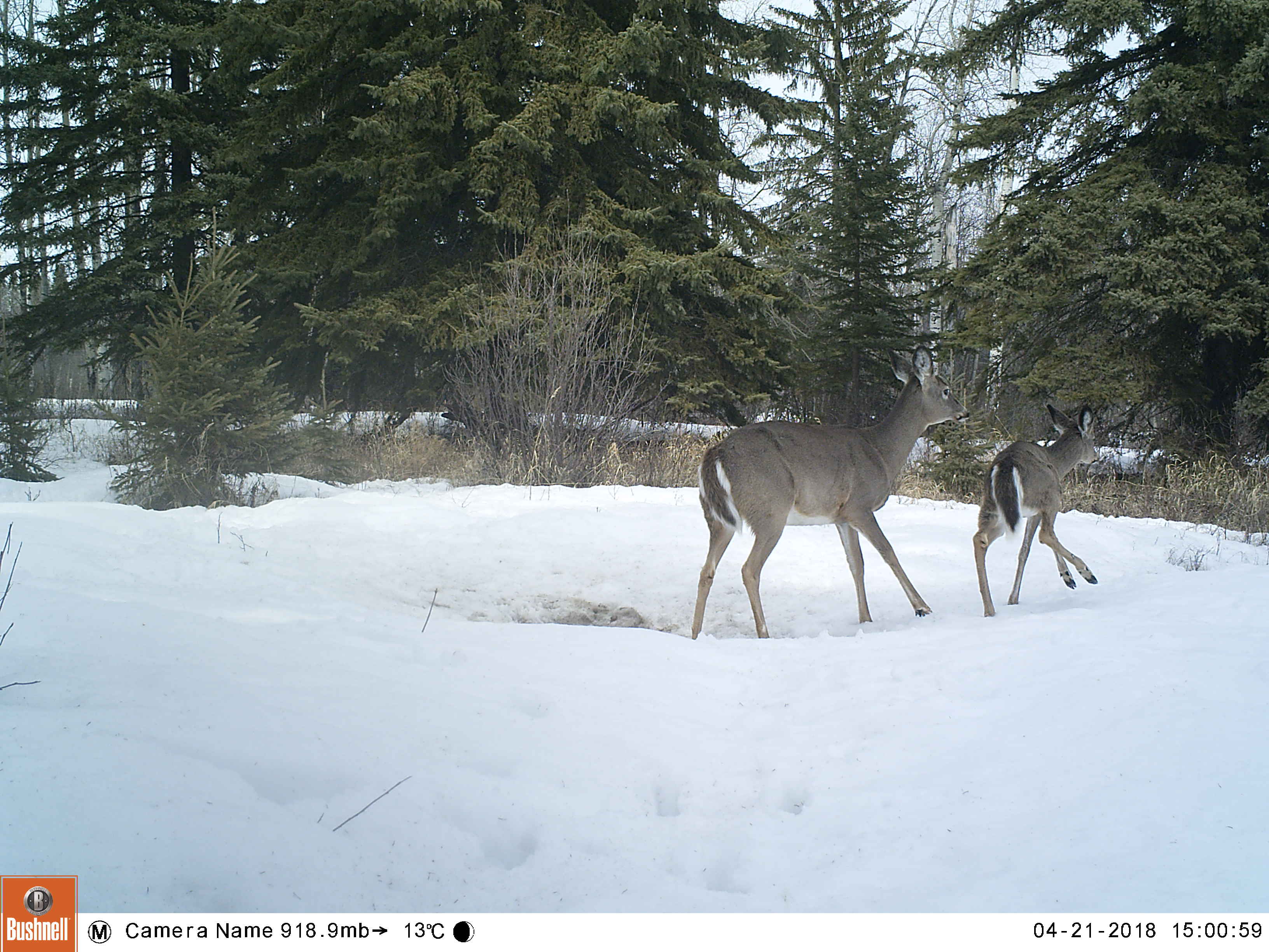 M2E86L238-238R379B320