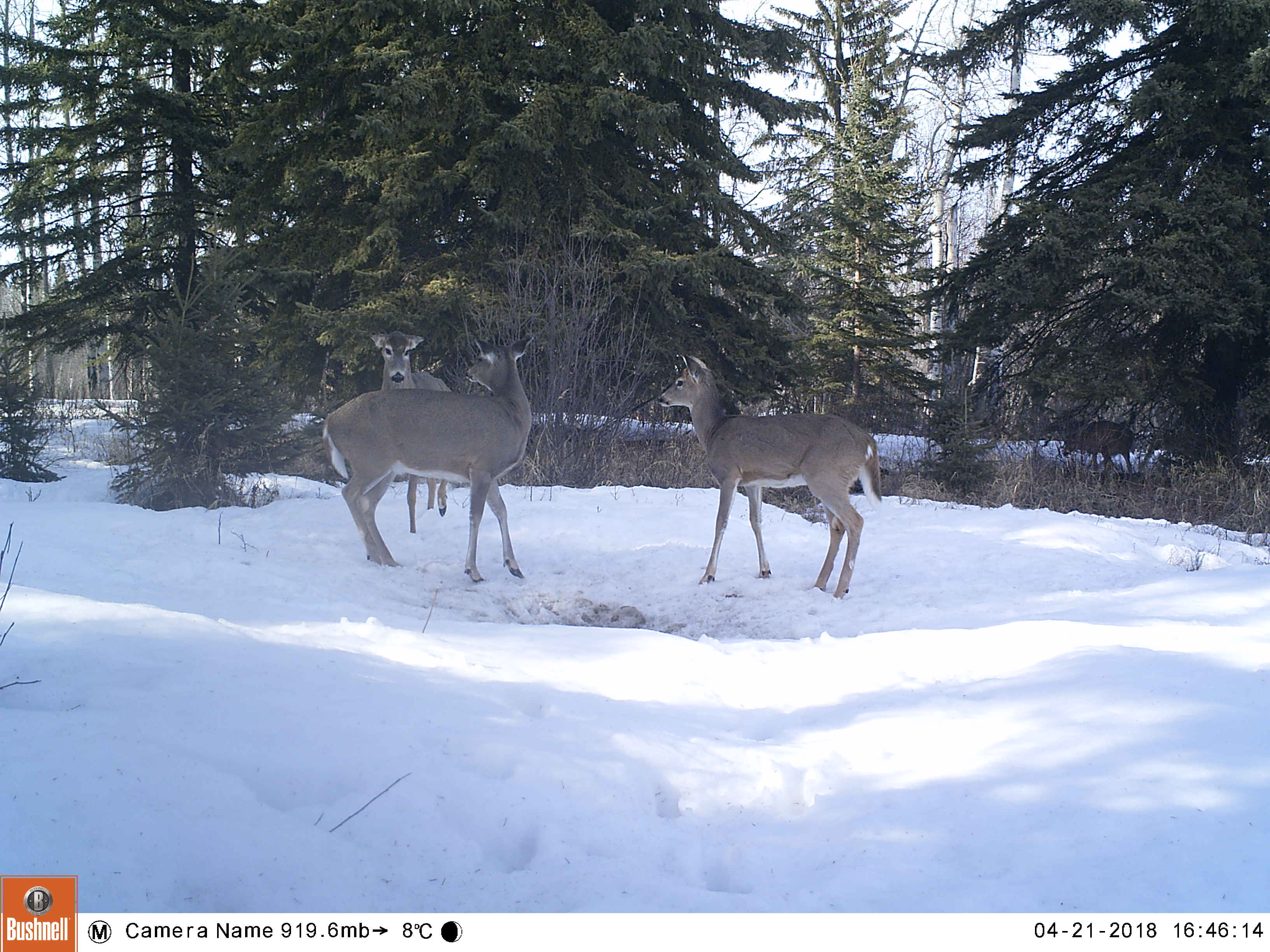 M2E76L225-225R406B328